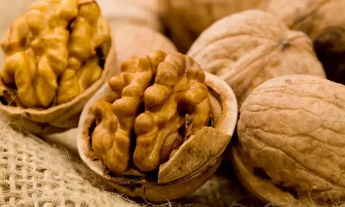 اضرار عين الجمل