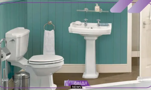 تفسبر رؤية الحمام الغير نظيف في المنام لابن سيرين