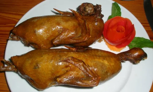 تعرف على تفسير رؤية الحمام المحمر في المنام لابن سيرين