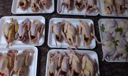 اعرف أكثر عن تفسير رؤية الحمام المذبوح والمنظف في المنام لابن سيرين