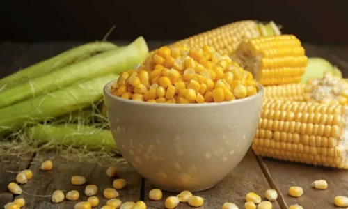 أهم 50 تفسير لرؤية الذرة في المنام للحامل لابن سيرين