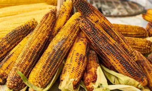 تعرف على تفسير رؤية الذرة المشوى فى المنام لابن سيرين