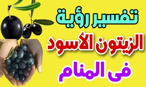 أهم 20 تفسير لرؤية الزيتون الأسود في المنام للمرأة المتزوجة لابن سيرين