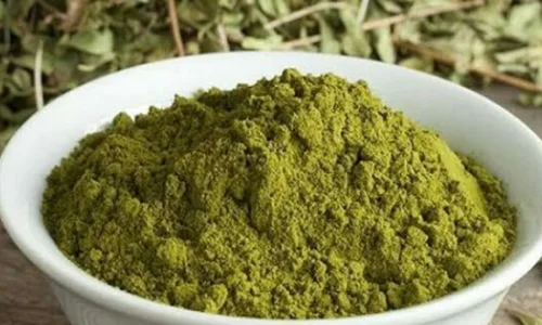 ما هو تفسير رؤية السدر والحناء في المنام لابن سيرين؟