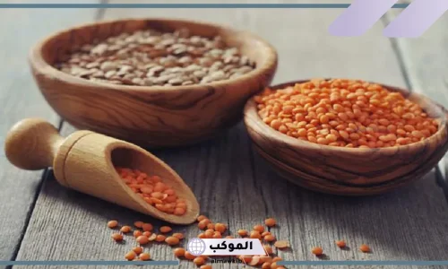 أهم 30 تفسير لرؤية العدس البني في المنام لابن سيرين