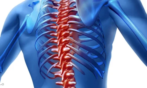 تعرف على أهم دلالات رؤية العمود الفقري في المنام لابن سيرين