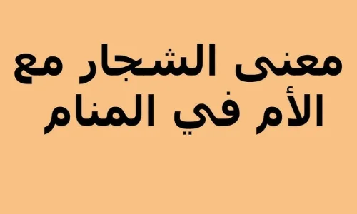 تأويلات ابن سيرين لتفسير رؤية العراك مع الام في المنام
