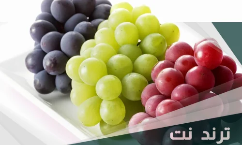 تأويلات ابن سيرين لتفسير رؤية العنب الاحمر والاخضر في المنام