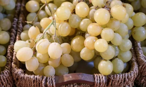 ما هو تفسير رؤية العنب الاصفر في المنام للحامل لابن سيرين؟