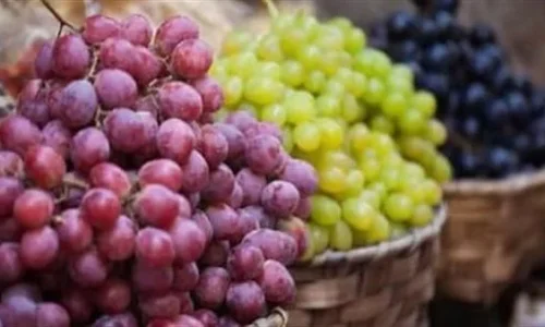 تعرف على تفسير رؤية العنب فى المنام لابن سيرين وكبار العلماء