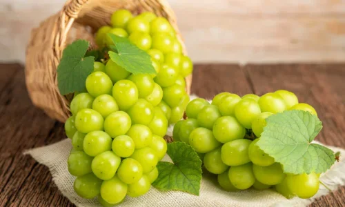 تعرف على تفسير رؤية العنب الاخضر في المنام للرجل لابن سيرين وكبار العلماء