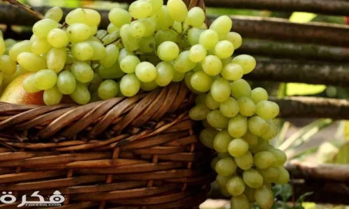 تعرف على تفسير رؤية العنب الأخضر في المنام للعزباء لابن سيرين