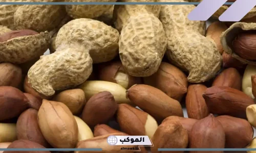 اعرف أكثر عن تفسير رؤية الفول السودانى فى المنام لابن سيرين وكبار العلماء