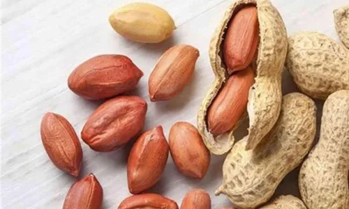 أهم 30 تفسير لرؤية الفول السوداني المقشر في المنام لابن سيرين وكبار الفقهاء