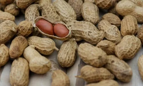 ما هو تفسير رؤية الفول السوداني في المنام للحامل لابن سيرين وكبار الفقهاء؟