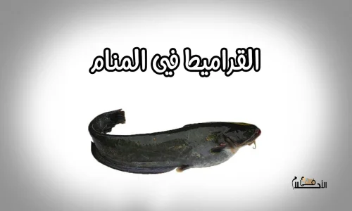 ما أهم تفسيرات رؤية القراميط فى الحلم لابن سيرين؟