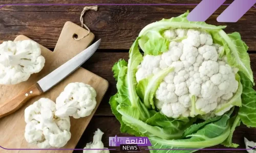أهم 30 تفسير لرؤية القرنبيط فى المنام لابن سيرين