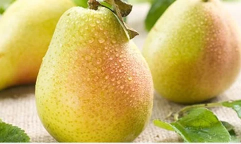 ما هو تفسير رؤية الكمثرى في المنام للمطلقه لابن سيرين وكبار المفسرين؟