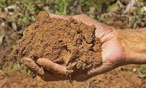 أهم 30 تفسير لرؤية اللعب بالطين في المنام لابن سيرين