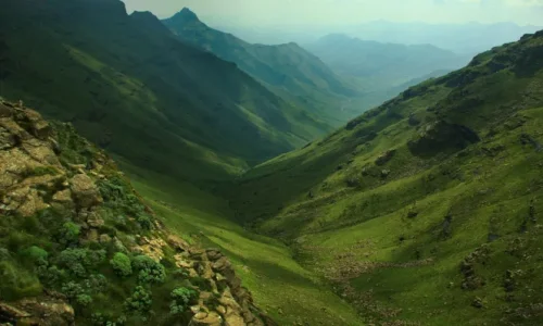 تفسير حلم الوادي الجاري في المنام لابن سيرين