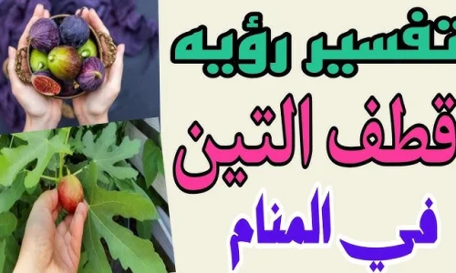 تعرف على تفسير رؤية قطف التين في المنام لابن سيرين