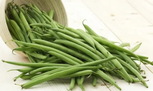 ما هو تفسير رؤية الفاصوليا الخضراء في المنام لابن سيرين؟