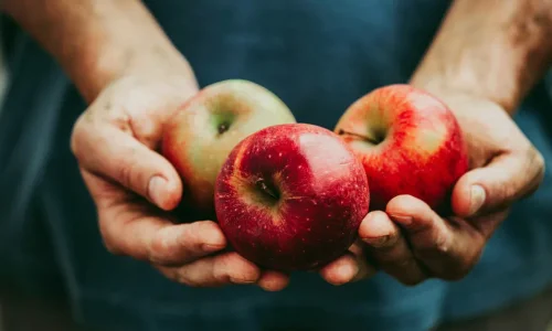 تعرف على تفسير رؤية التفاح في المنام لابن سيرين