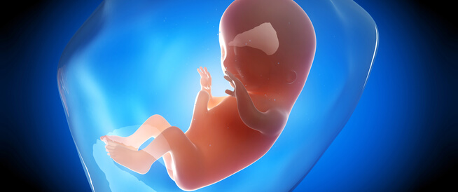 جنين في الشهر الثالث وما هي أعراض الحمل في الشهر الثالث؟