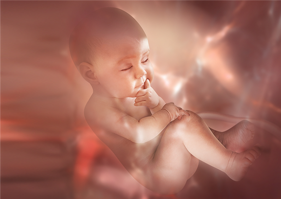 حازوقة الجنين ومتى يجب القلق إزاء الحازوقة المتكررة عند الجنين؟