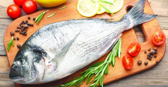 تفسير السمك في الحلم