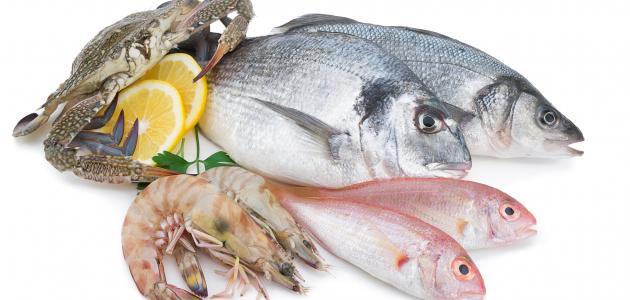 تفسير حلمت اني اكل سمك لابن سيرين