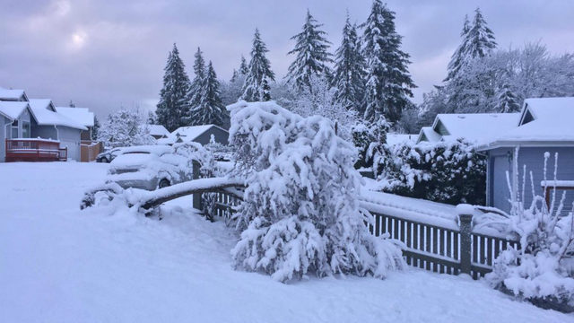 رؤية الثلج في المنام