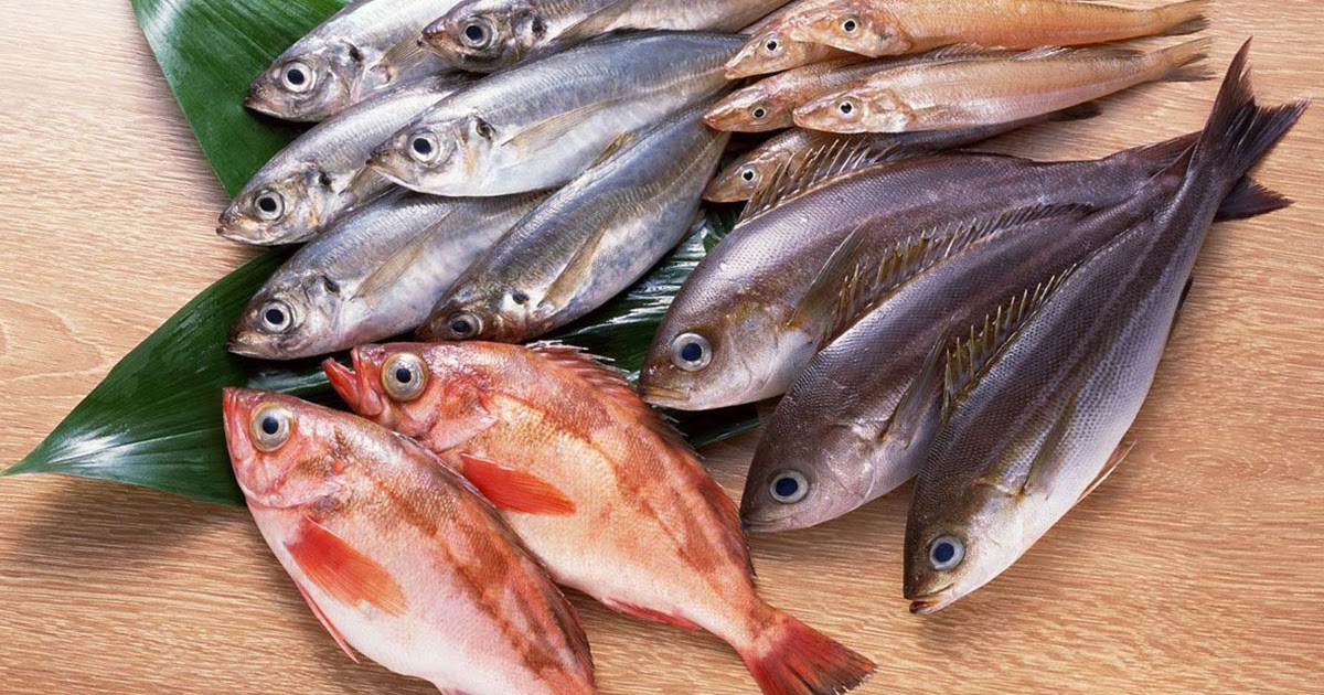 الاسماك في الحلم