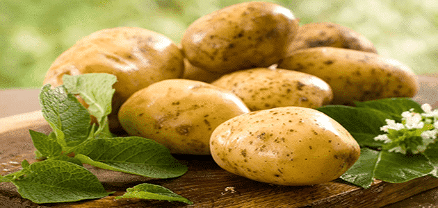 البطاطس في المنام