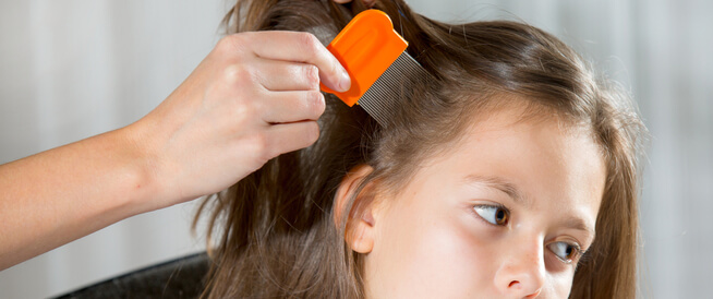 ما هو تفسير حلم القمل في الشعر لابن سيرين؟