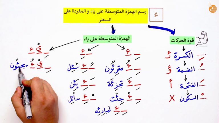 كلمات بها همزة متوسطة على الياء وما هي حالات كتابة الهمزة المتوسطة على الياء؟