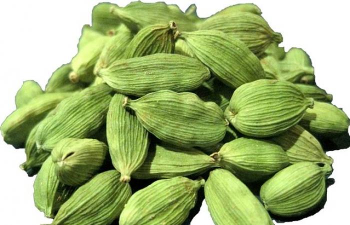 تفسير حلم الهيل