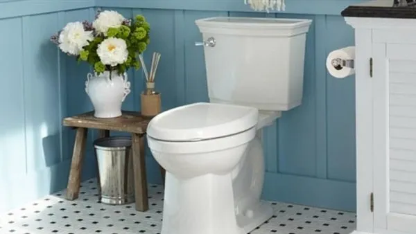 تفسير رؤية الحمامات في المنام