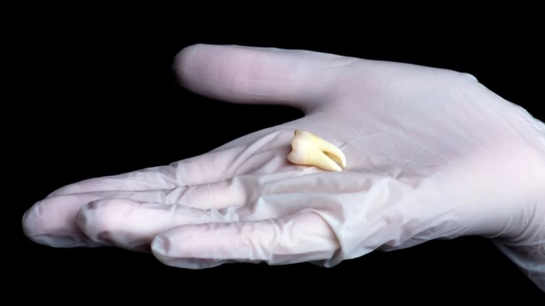 تفسيرات حلمت ان سني طاح لابن سيرين