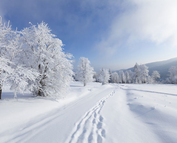 الثلج في المنام للمتزوجة