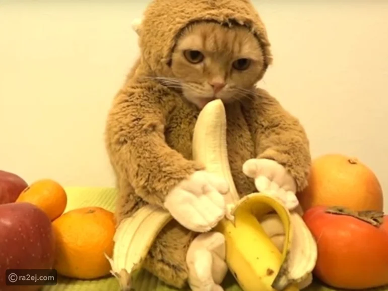 ما هو تفسير رؤية أكل الموز في المنام لابن سيرين؟