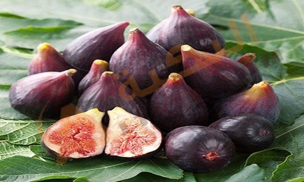 اكل التين في المنام