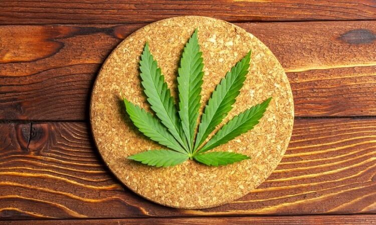 تفسير الحشيش في المنام لابن سيرين