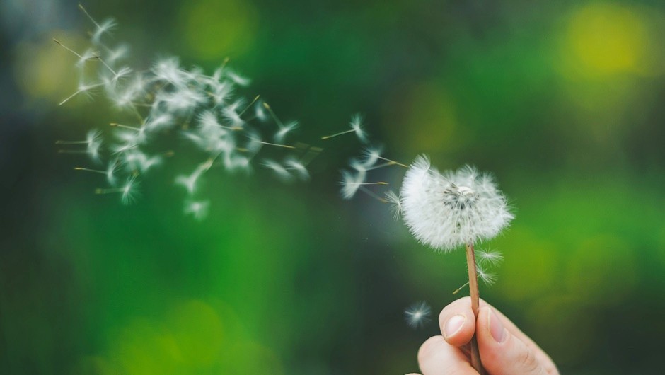 الرياح في المنام