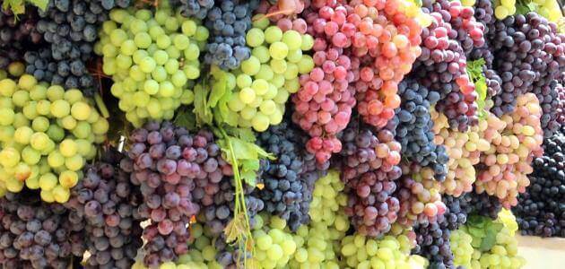 تفسير حلم أكل العنب