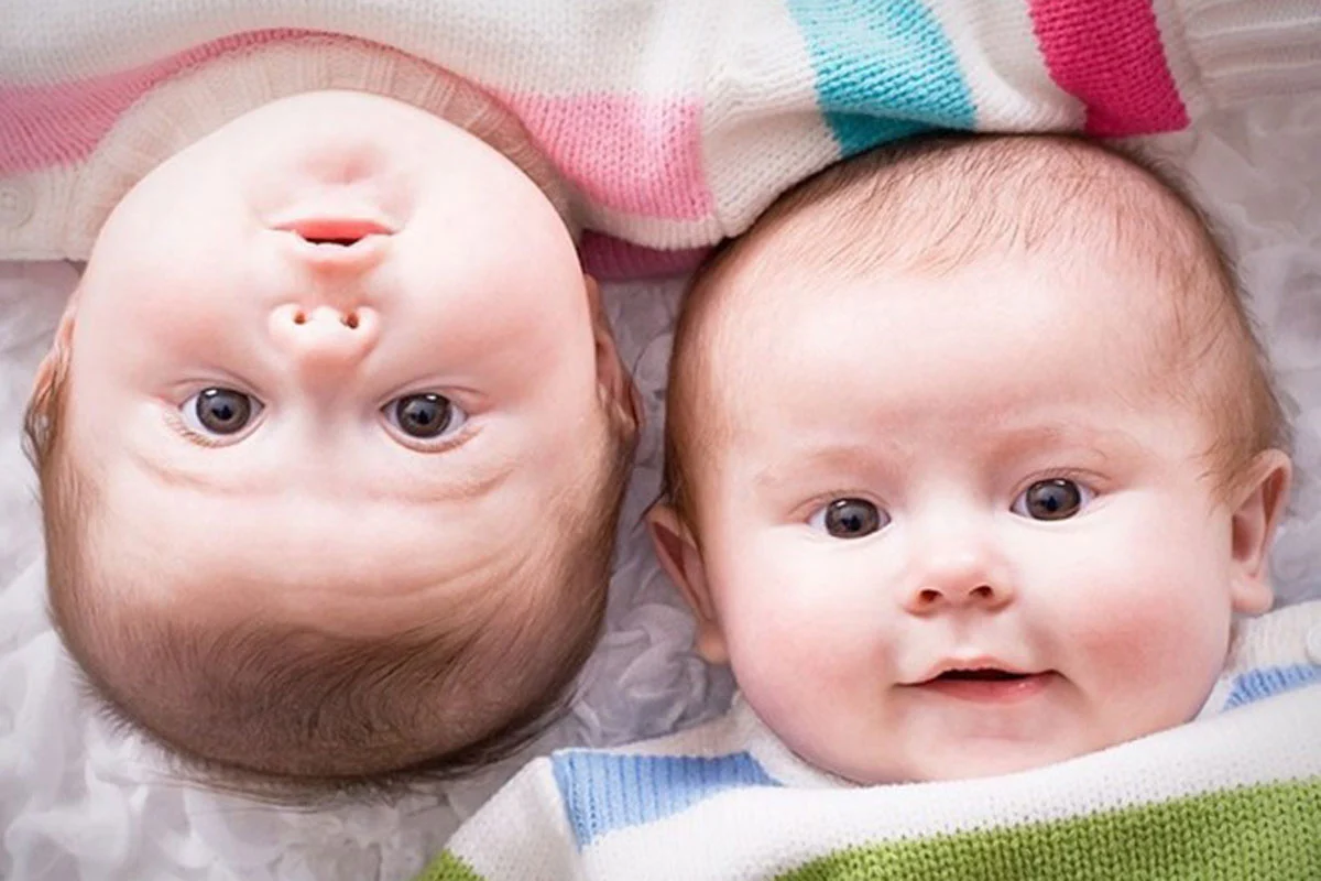 تفسير حلم التوأم للمتزوجة لابن سيرين