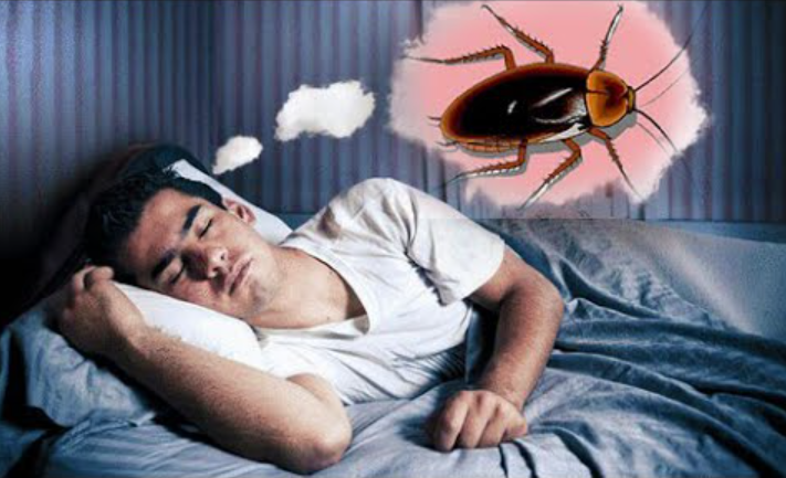 تفسير حلم الصراصير للمتزوجه وهل وجود الصراصير في الحلم يدل على السحر؟