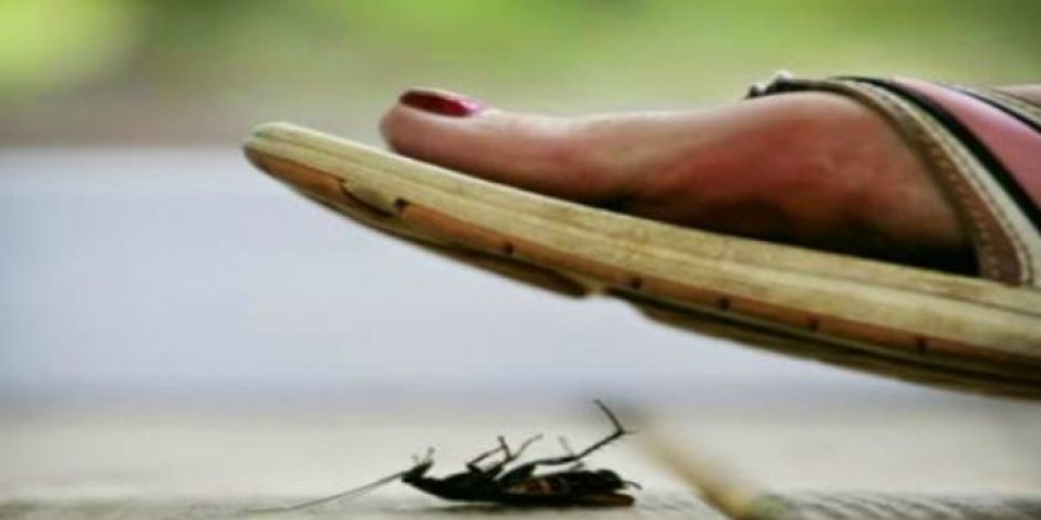 تفسير حلم قتل الصرصور