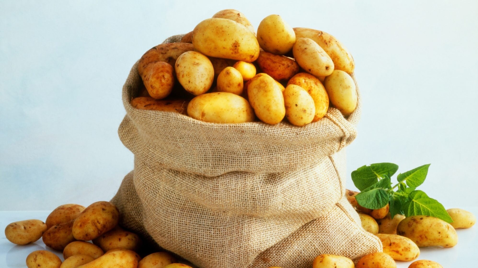 ما هو تفسير رؤية بطاطس في المنام لابن سيرين؟