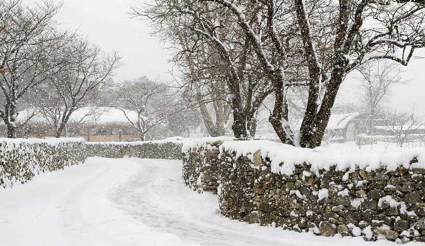 رؤية ثلج في المنام ورؤية الثلج على الجبال في المنام للعزباء